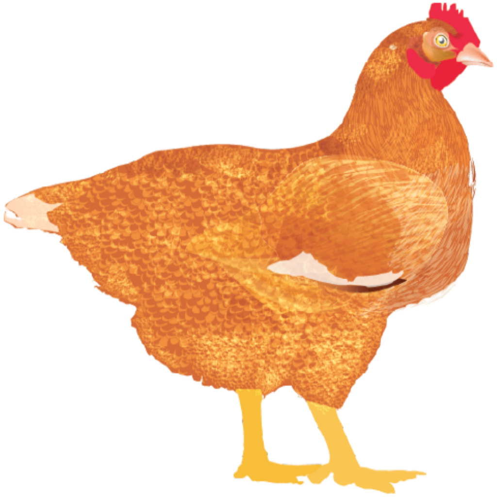 My Poultry Manager - Farm app - Productivity App | MWM