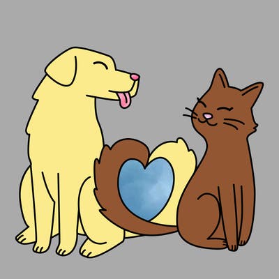 animals_22