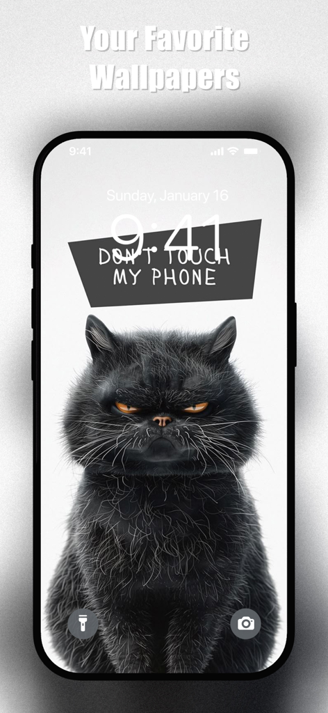Dont Touch My Phone Wallpapers - iPhone lock screen featuring a grumpy black cat with dont touch my phone text