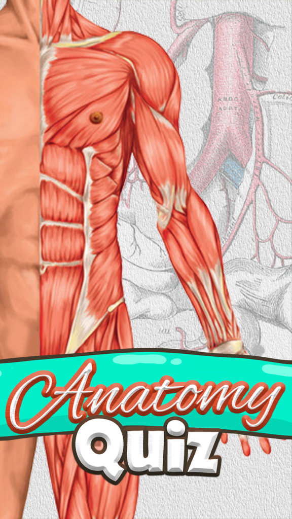 Anatomy Quiz game title screen featuring human muscular system