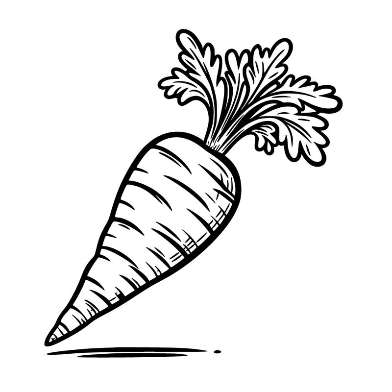 carrot