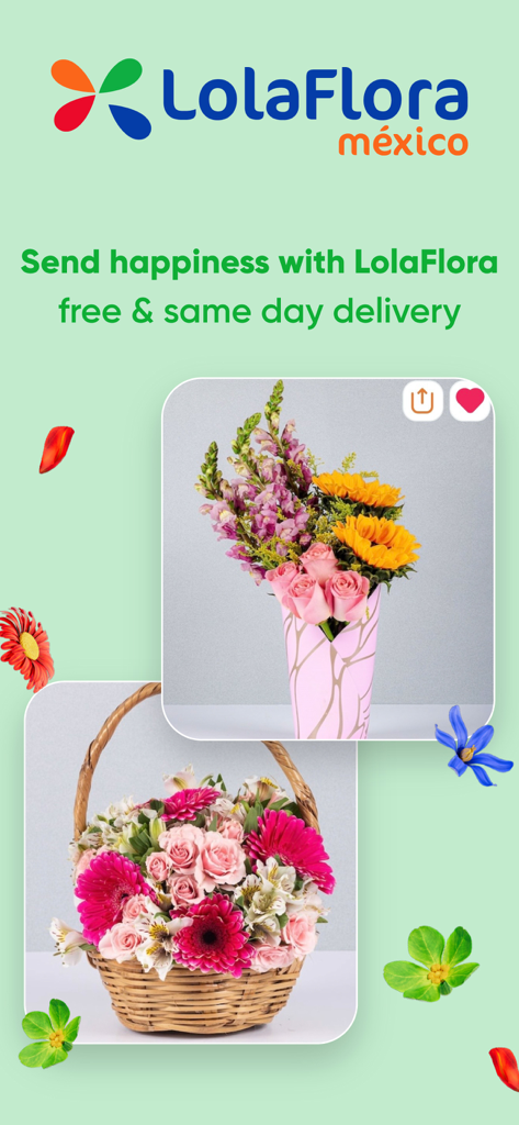 Pantalla promocional de la aplicación de entrega de flores LolaFlora en México que muestra una canasta y un ramo de flores con el texto de entrega el mismo día