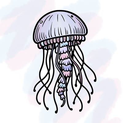 jellyfish