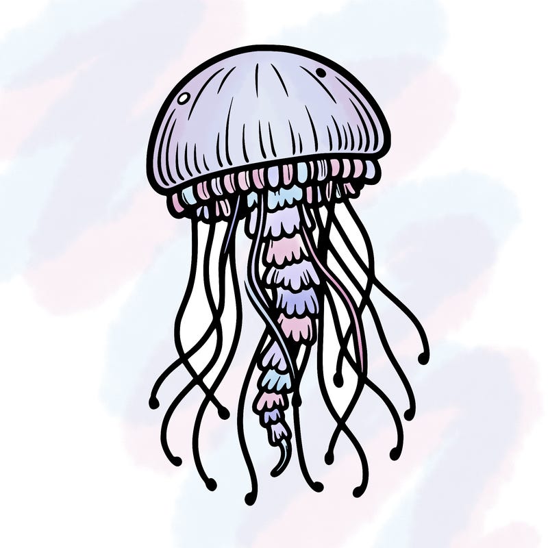 jellyfish