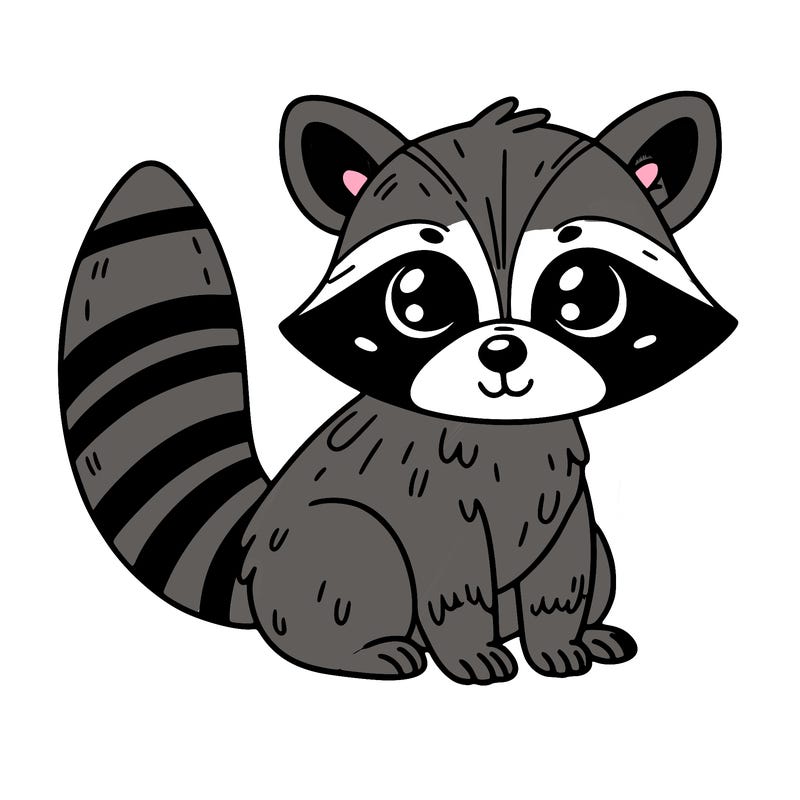 raccoon