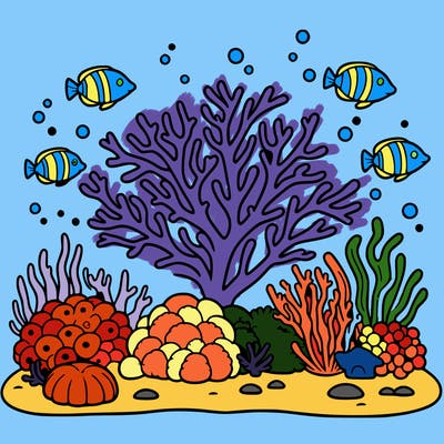 coral-reef out line