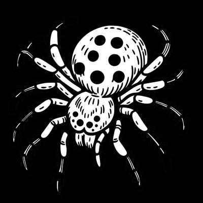 spider