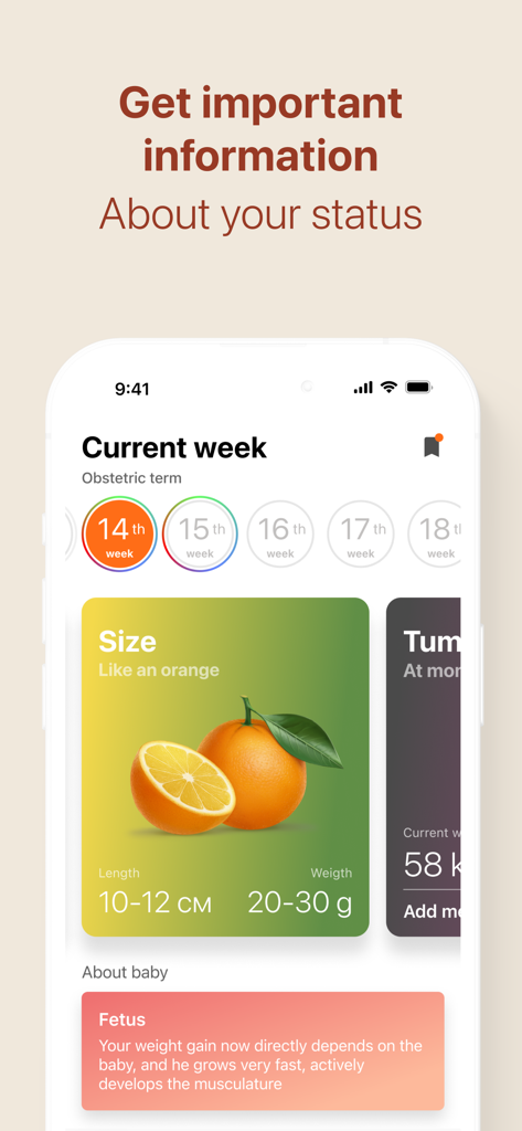Pregnancy Tracker・App by Moms - Pregnancy tracker app interface showing baby size compared to an orange during week 14