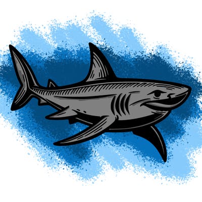 shark