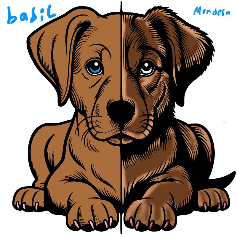 realistic dog split picture