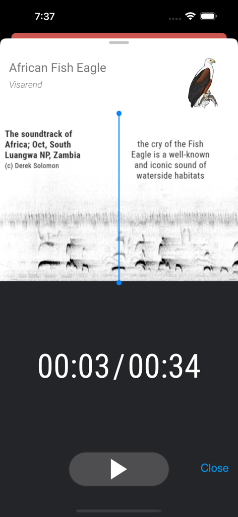 Firefinch - Audio player screen in the Firefinch app showing the call and spectrogram of an African Fish Eagle