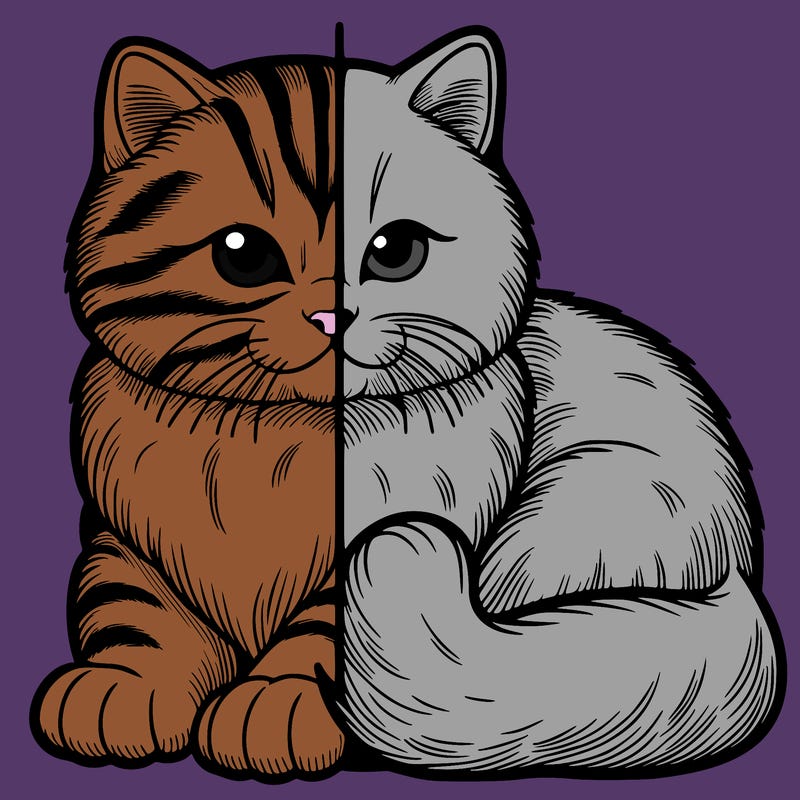 realistic split cat