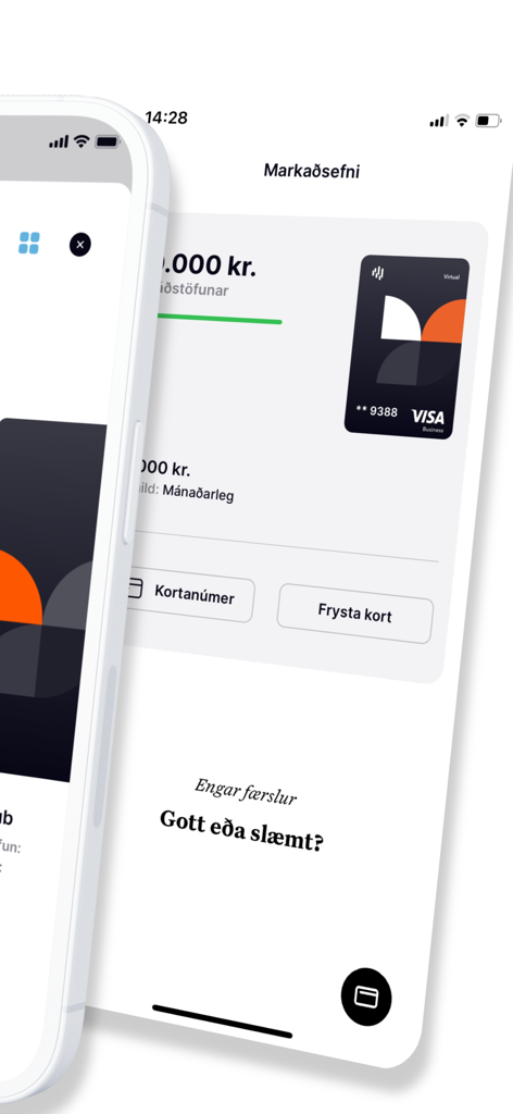 Interfaz móvil de la aplicación Kardio que muestra una tarjeta Visa Business virtual con saldo y opciones de gestión de tarjeta