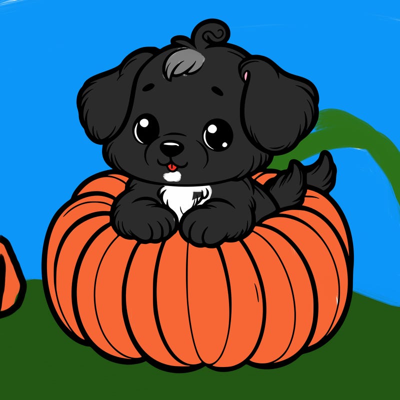 cute little puppy in a pumpkin