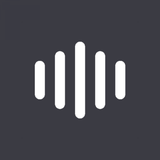 VideoFlex - Video Converter