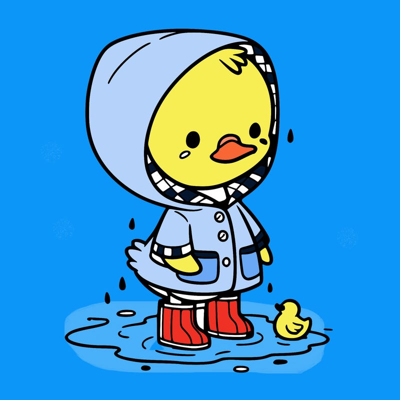 baby duck in a rain coat and boots, in a puddle while it’s raining