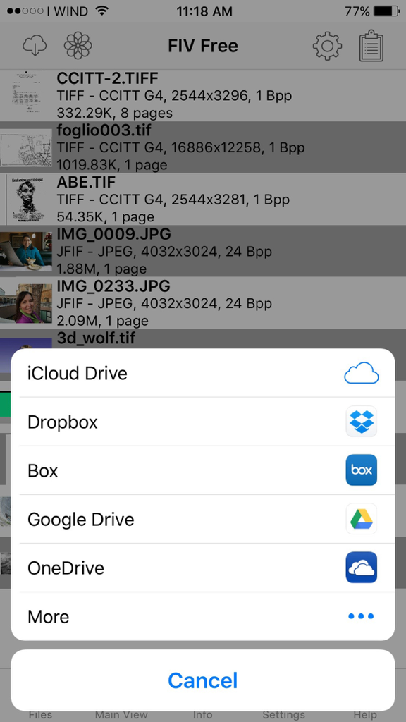Aplicativo Fast Image Viewer mostrando um menu para abrir arquivos do iCloud Dropbox Google Drive e OneDrive