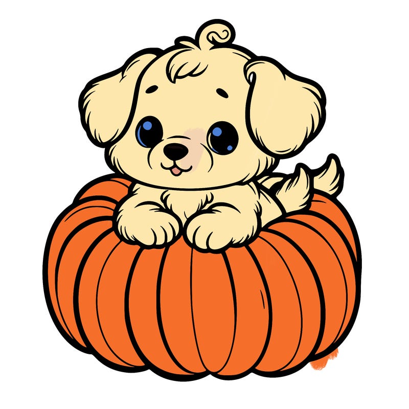 cute little puppy in a pumpkin
