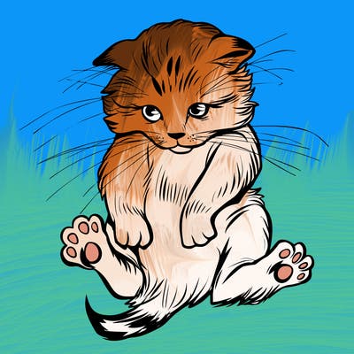 animals_20