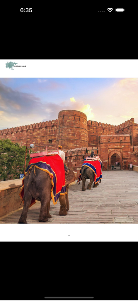 ASIAN Geographic Magazine - Ornate elephants walking toward a historic red sandstone fort in ASIAN Geographic Magazine