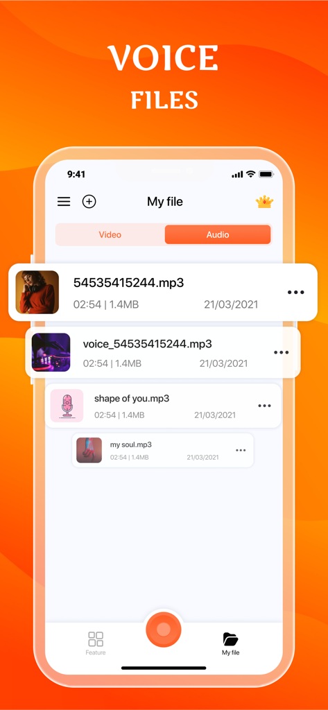 Screen Recorder for iPhone HD - Eine Liste von aufgenommenen Audiodateien und MP3s im Dateimanager der App Screen Recorder for iPhone HD