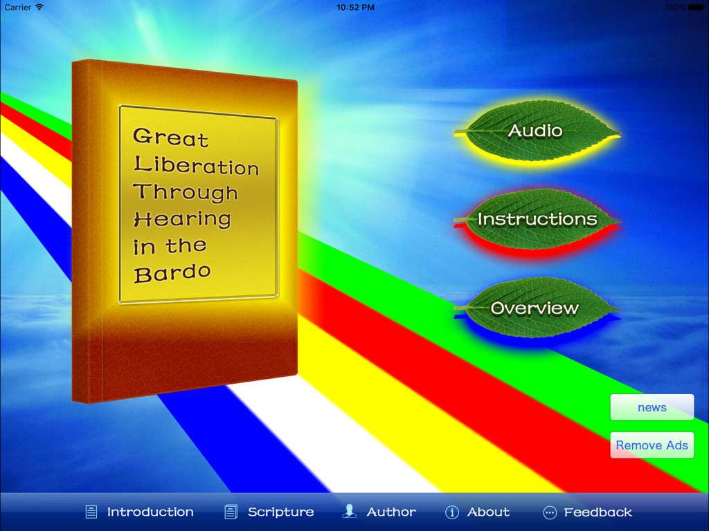 Tibetan Book of the Dead - The home screen of the Tibetan Book of the Dead iPad app featuring options for audio, instructions, and an overview.