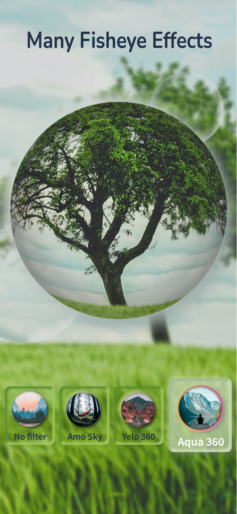 Fish eye camera & Video Square - A tree photo displayed with a spherical fisheye lens effect and filter options