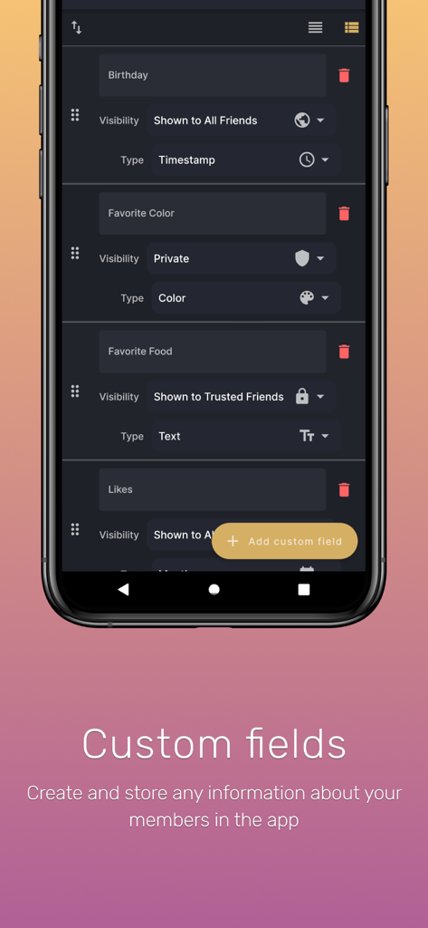 Simply Plural App-Bildschirm, der benutzerdefinierte Profilfelder für Details zu Systemmitgliedern zeigt