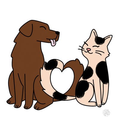 animals_22