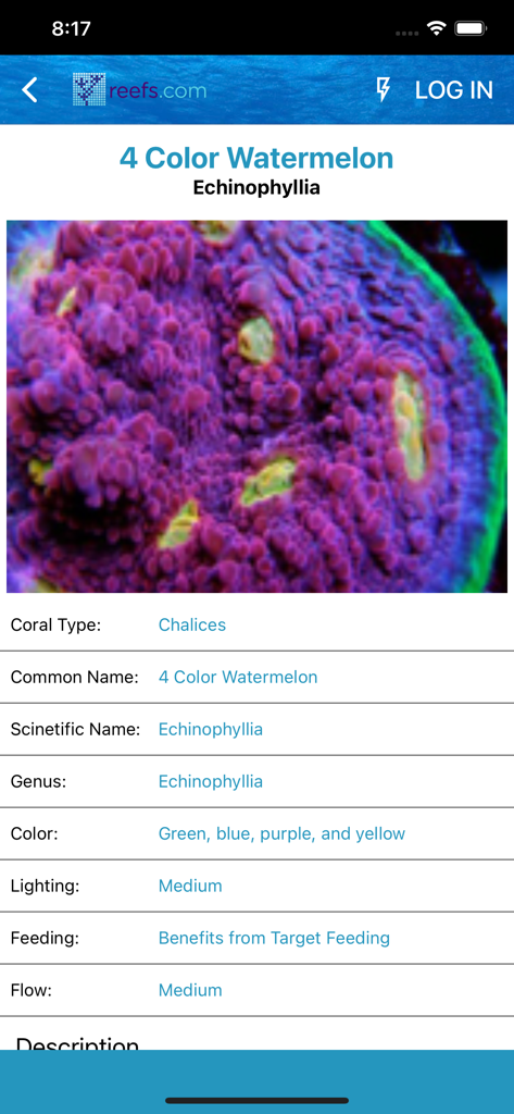 Reefs - Detailed identification profile for a 4 Color Watermelon Echinophyllia coral in the Reefs app database.