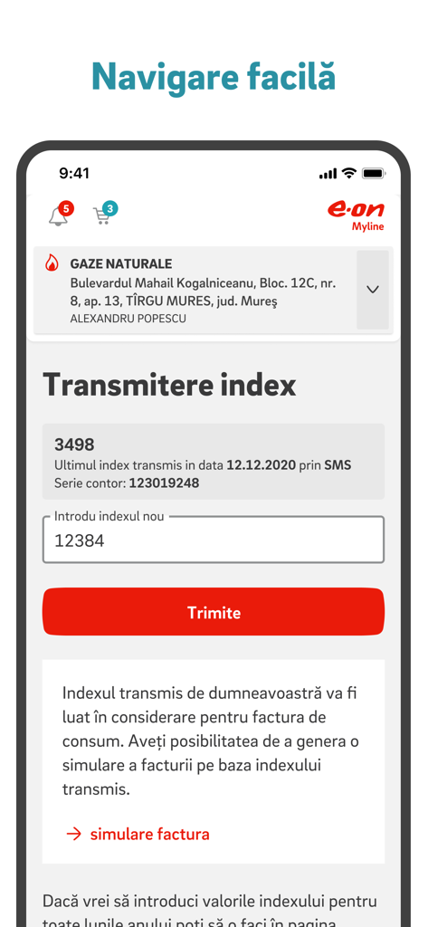 E.ON Myline mobile app interface showing a screen to submit natural gas meter readings with a numeric input field and a send button