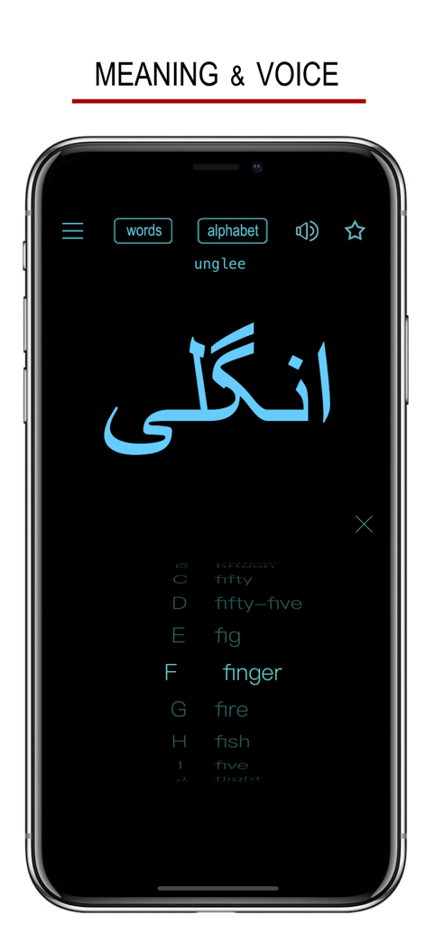 Écran de smartphone montrant l'écriture ourdou pour le mot 'doigt' avec la traduction anglaise et l'icône audio.