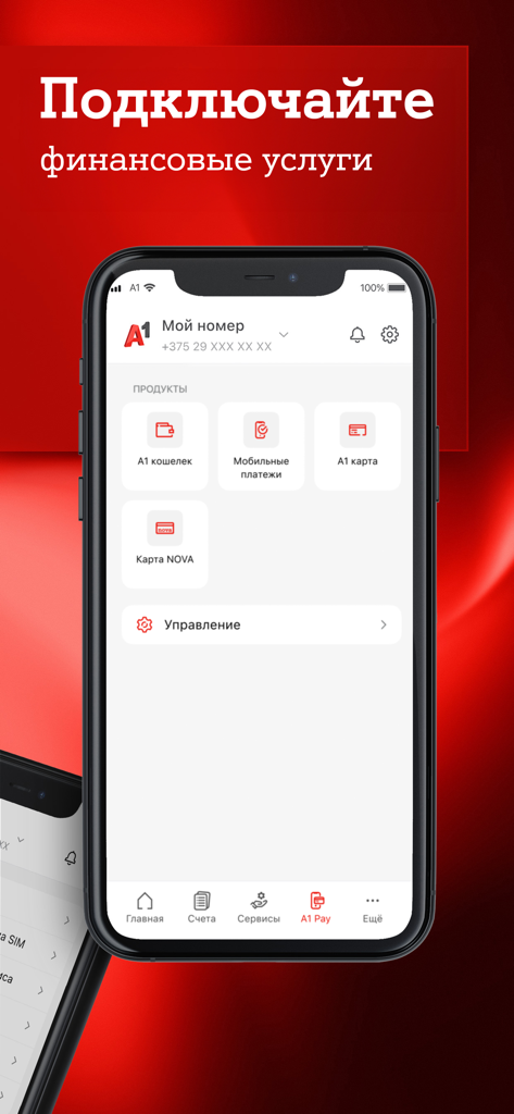 My A1 app interface for managing financial services and payments