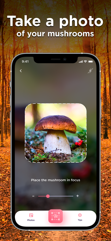 Un écran de smartphone montrant l'interface caméra de l'application Identificateur de Champignons capturant une photo d'un champignon sauvage dans une forêt.