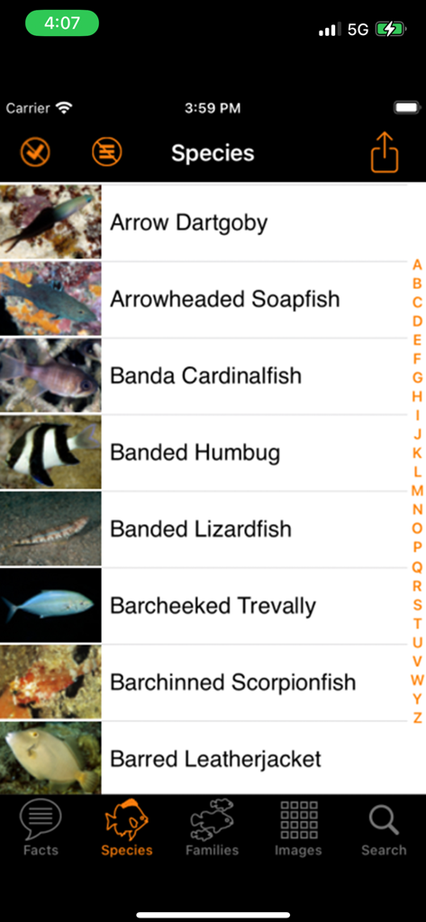 A scrollable list of marine fish species with thumbnail photos and names in the Marine Fish Maldives app.