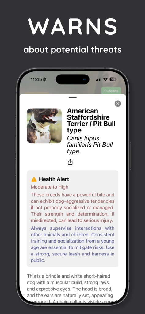 DogScan - Identify Dog Breeds - Smartphone screen showing the DogScan app displaying a health alert and behavior warning for an American Staffordshire Terrier breed identification