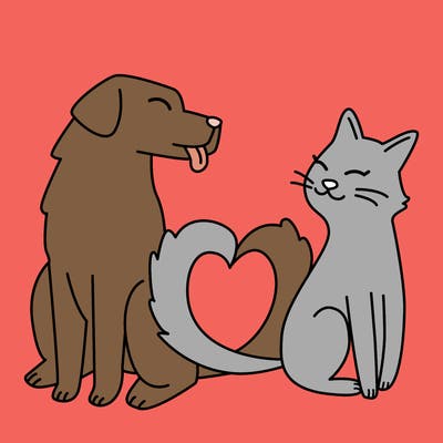 animals_22
