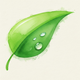 grove: Companion Plant Planner