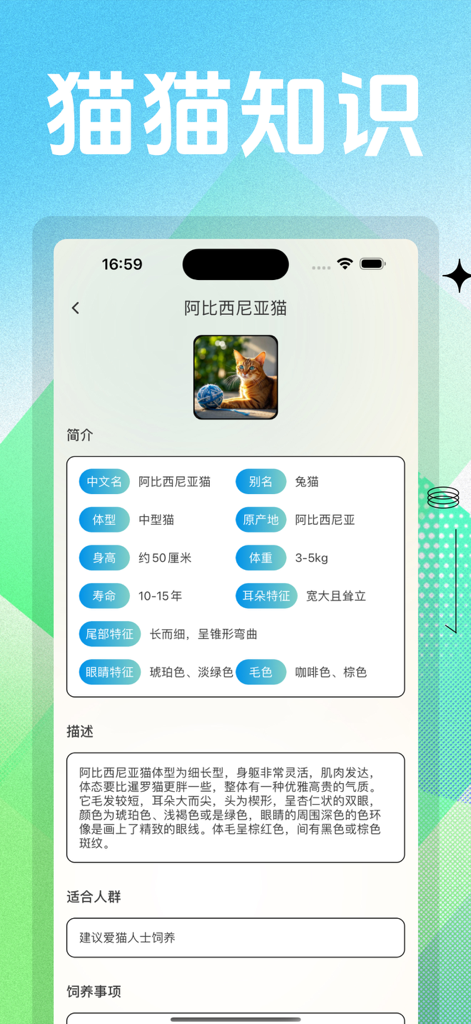 猫咪模拟器 - Cat Simulator app screen showing detailed breed information and physical traits for an Abyssinian cat.
