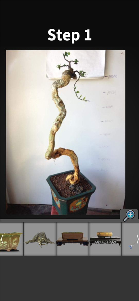 My Bonsai - Interface of the My Bonsai app showing the first step of design simulation with an embryo tree and pot options