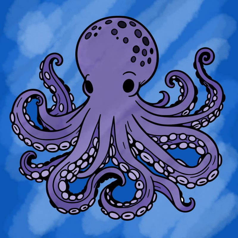 octopus