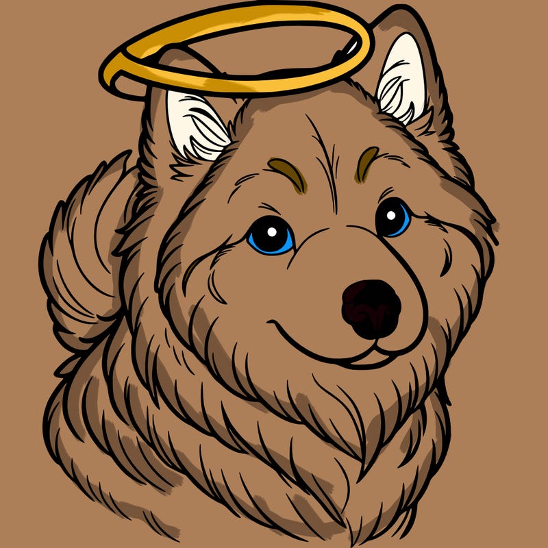 northern inuit dog with halo