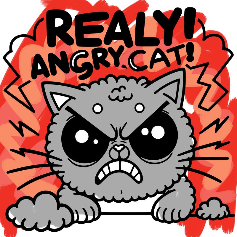 really angry cat