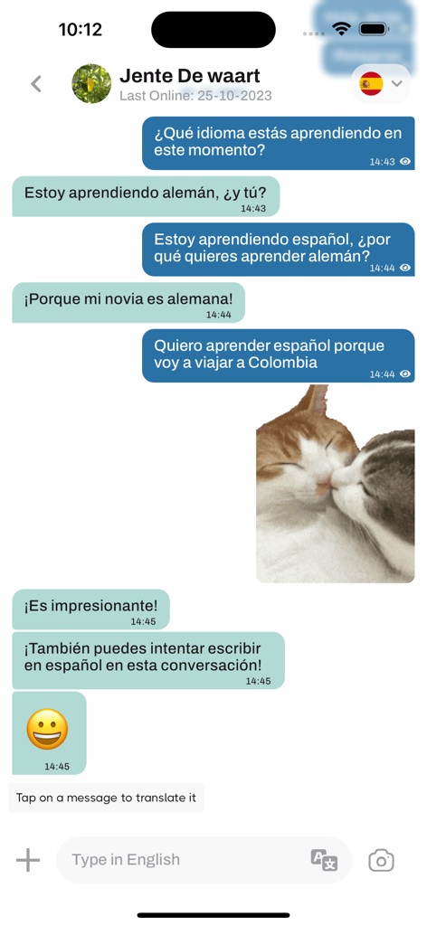 Flipchat - Chat Translator - Interface of Flipchat app showing a Spanish chat conversation with an option to translate messages and type in English