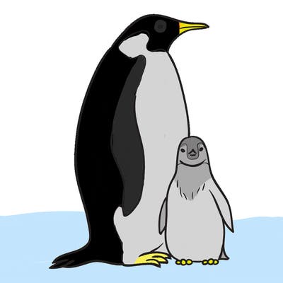 animals_31