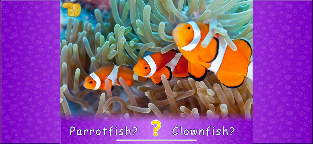 Animal picture games for kids - An educational game screen for kids showing a real photograph of clownfish with a multiple-choice question to identify the animal