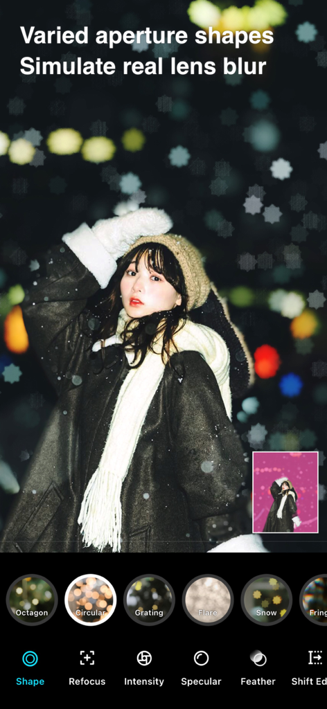 Fine Photo Editor 인터페이스는 다양한 조리개 모양과 보케 효과로 실제 렌즈 흐림 시뮬레이션을 보여줍니다.