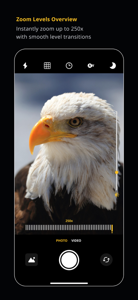 Pro Zoom 250x - Tele Camera HD - Interfaz de la aplicación Pro Zoom 250x mostrando un primer plano de un águila calva a un nivel de zoom de 250x