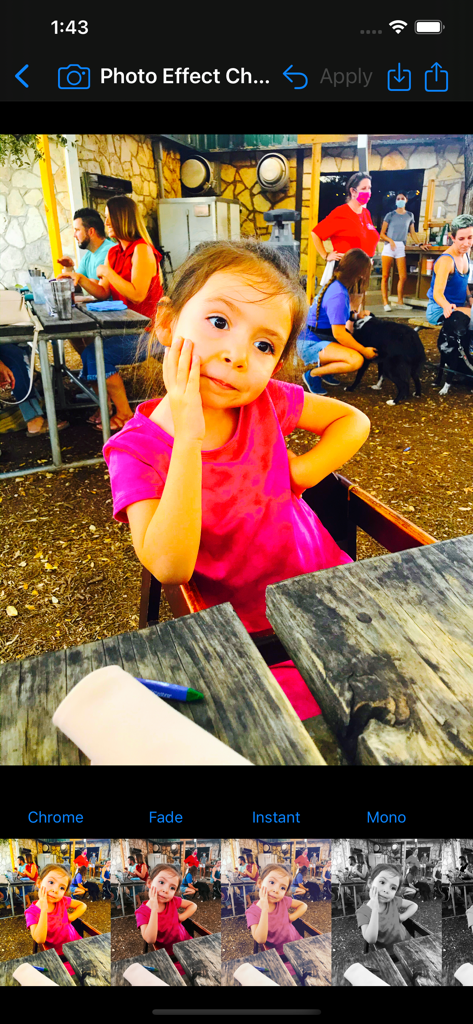 Interfaccia dello Strumento Editor Foto con Filtri Immagine che visualizza opzioni di filtri pellicola vintage come Chrome e Fade