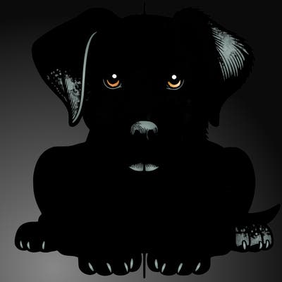 realistic dog split picture